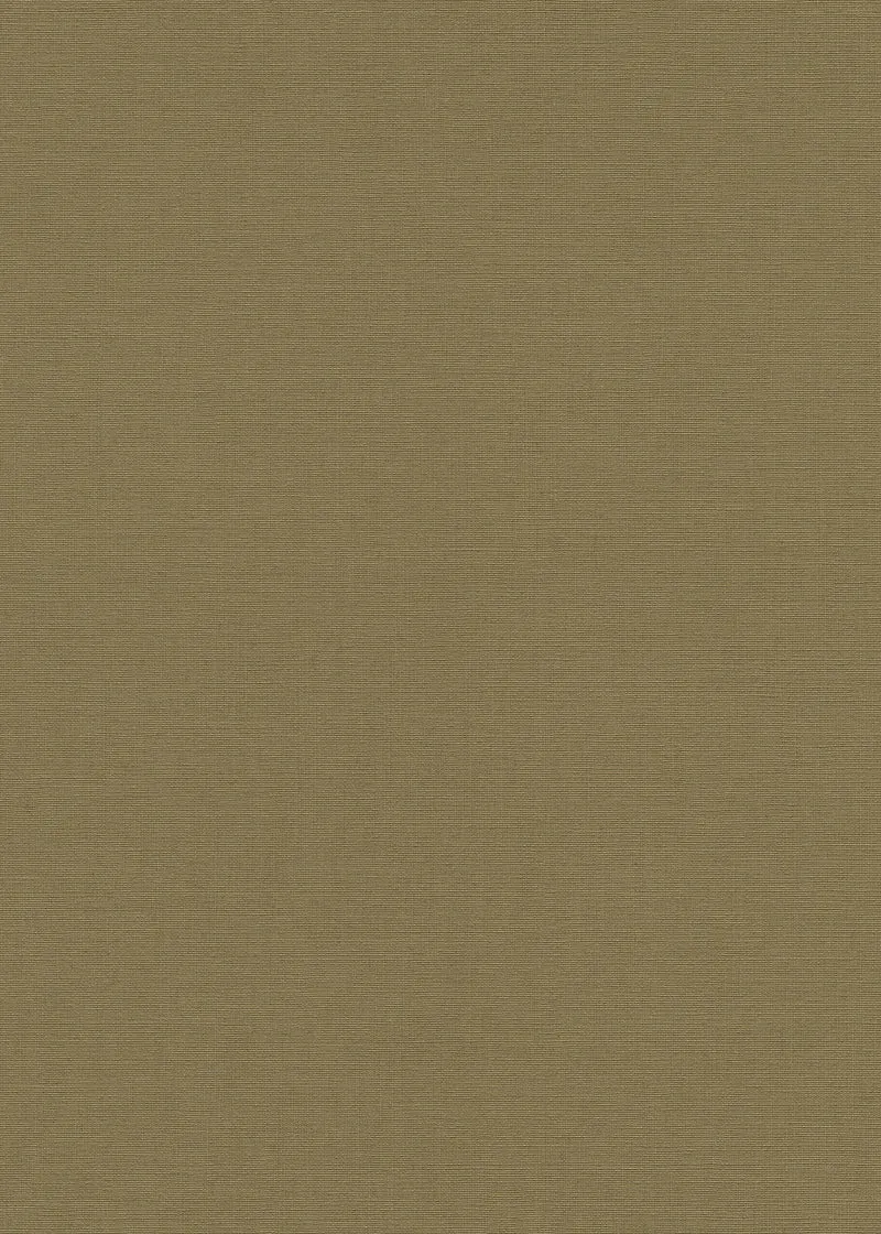 MU 1017