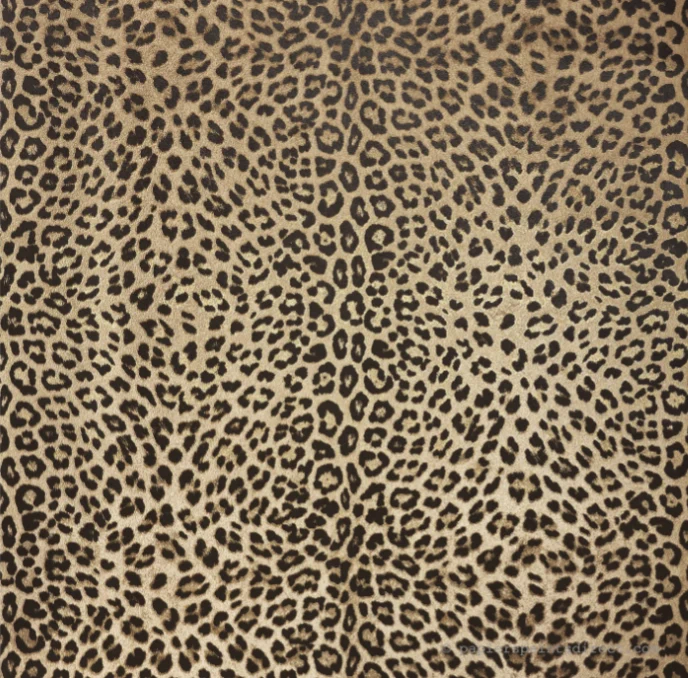 Papier peint effet léopard Dolce & Gabanna