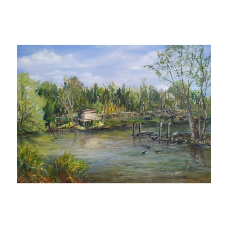 Plan d'eau apaisé