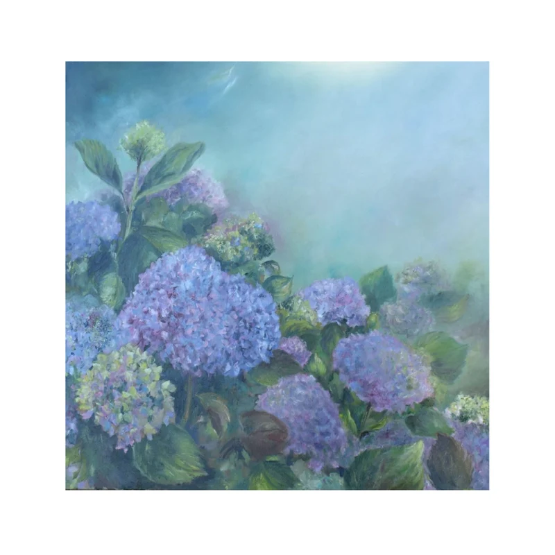 Hortensias