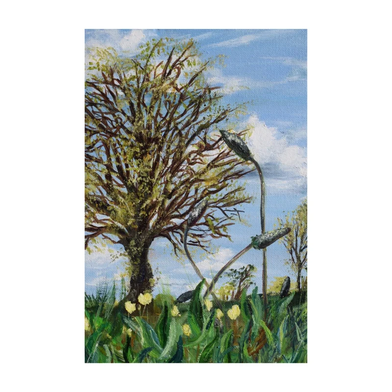 Herbes folles du printemps