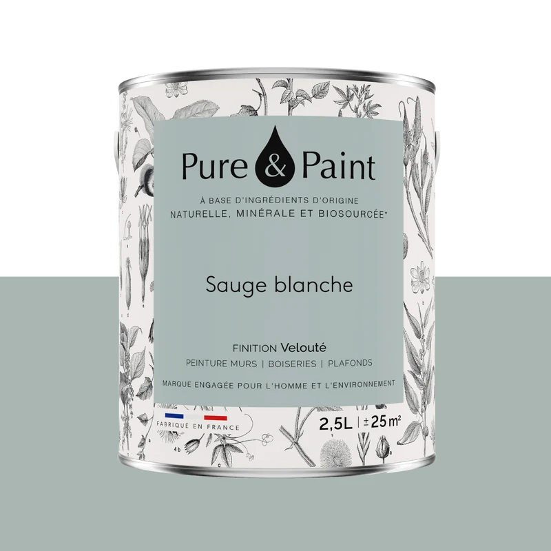 PURE AND PAINT