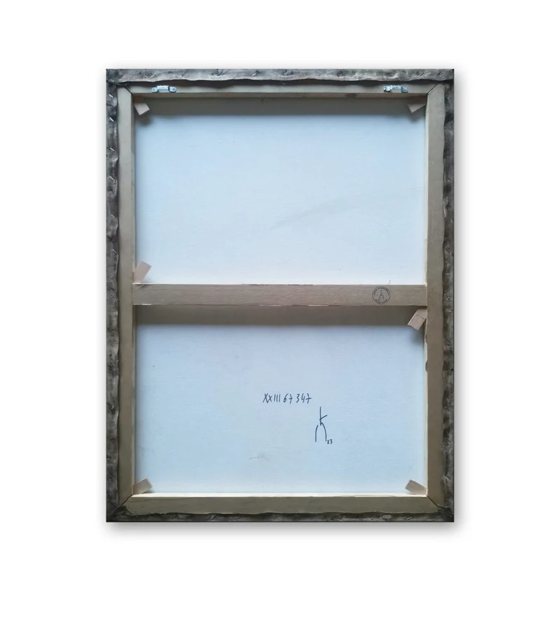 XXIII 67 347