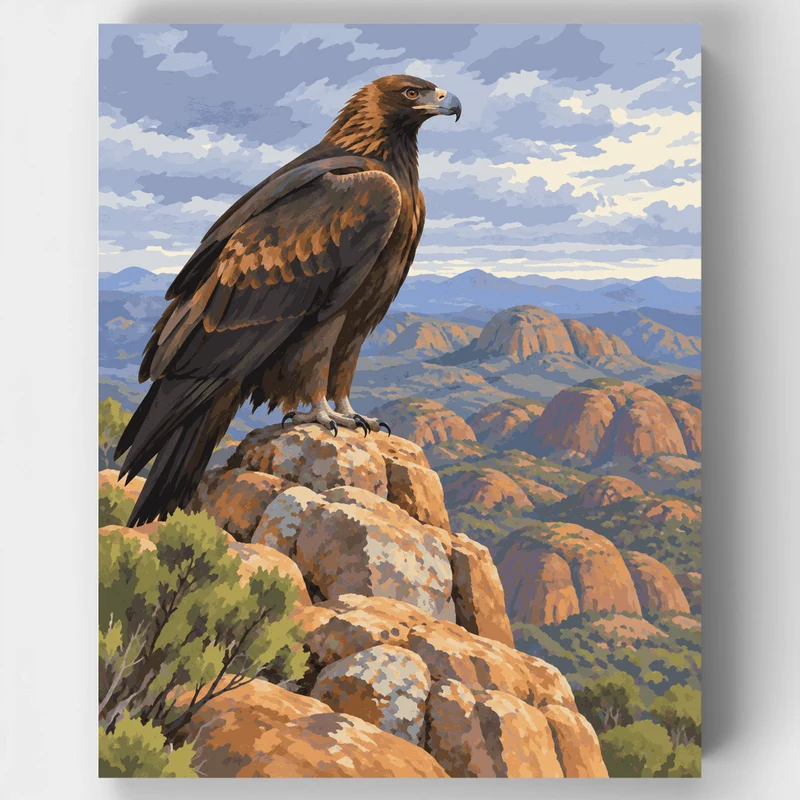 Eagle Over the Bungles - Paint by Numbers Kit