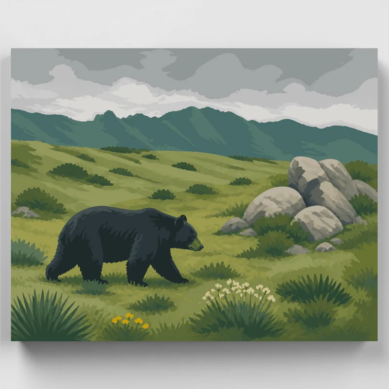 Chisos Black Bear - Paint by Numbers Kit