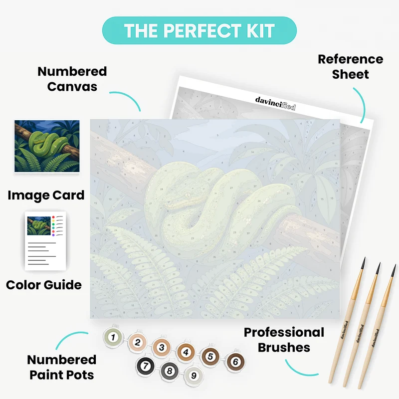 Coiled Madagascar Boa - Paint by Numbers Kit