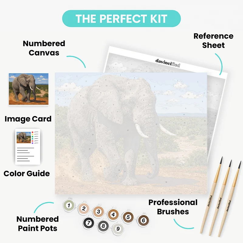 Addo Bull Elephant - Paint by Numbers Kit