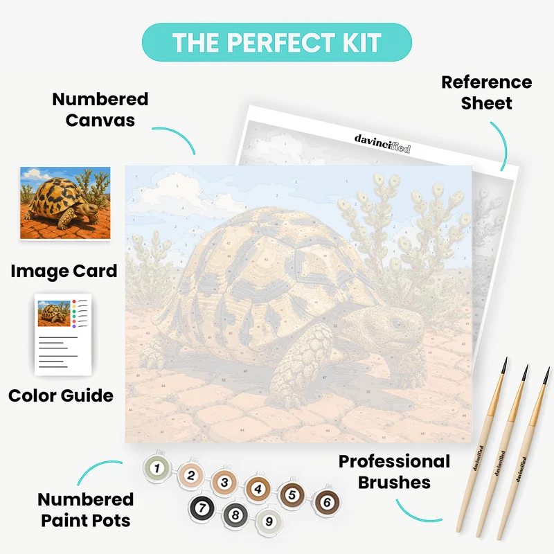 Leopard Tortoise Crossing - Paint by Numbers Kit