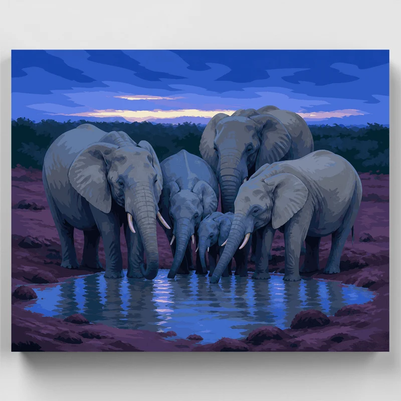 Addo Waterhole at Dusk - Paint by Numbers Kit