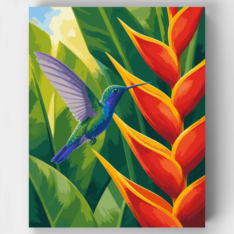 Hummingbird at Heliconia - Paint by Numbers Kit