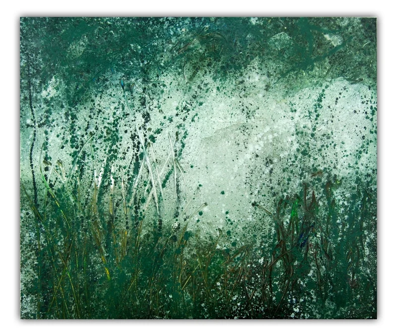 Wildlight 3