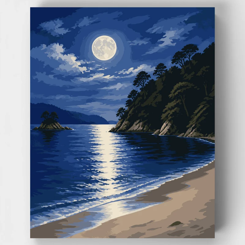 Moonlit Abel Tasman Cove - Paint by Numbers Kit