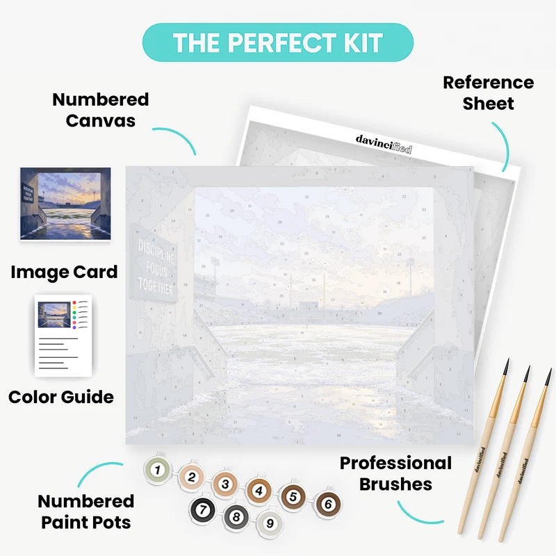 Snow-Dusted Gridiron - Paint by Numbers Kit