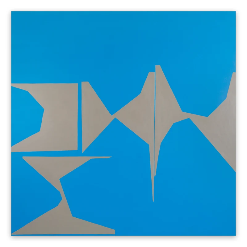 Cut-Up Canvas II.6