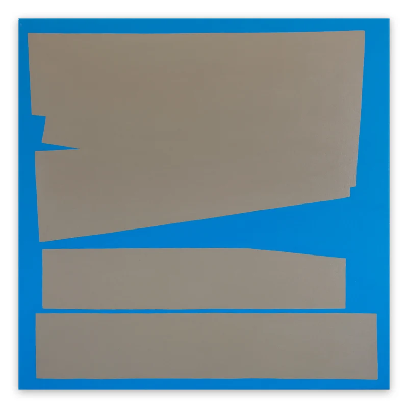 Cut-up Canvas I.7