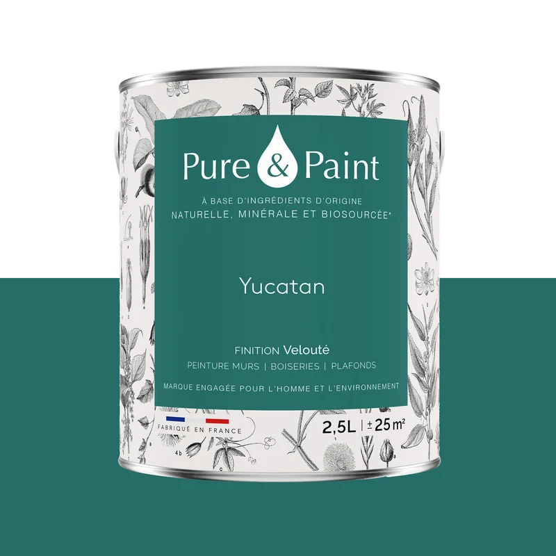 PURE AND PAINT