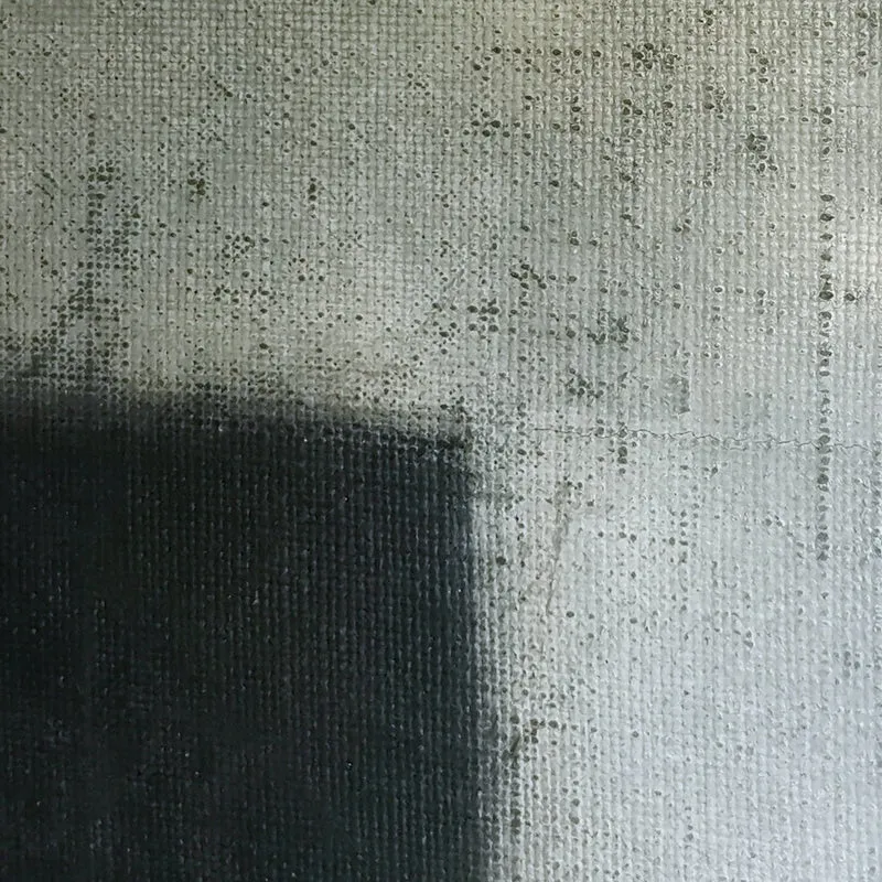 XX 10161