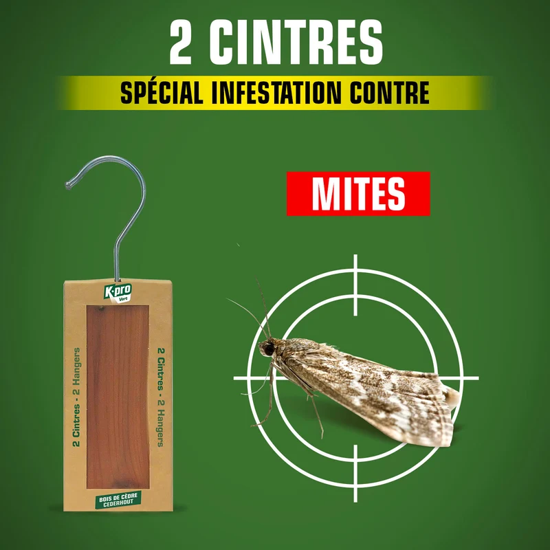 Cintres au bois de cèdre