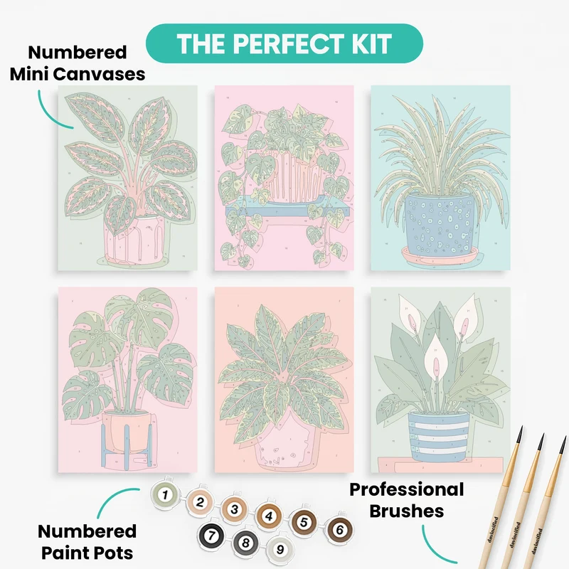 Colorful Potted Houseplants Collection - Mini Paint by Numbers Set