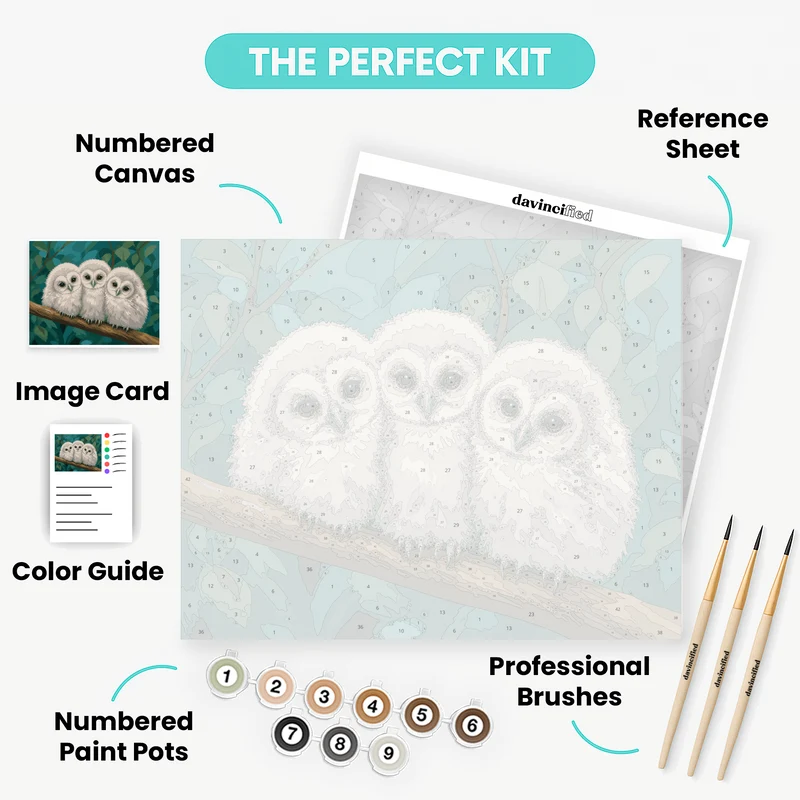 Three Owlets Huddled - Paint by Numbers Kit