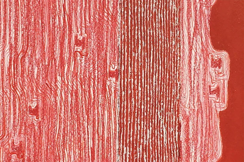 Untitled (Id. 1282)