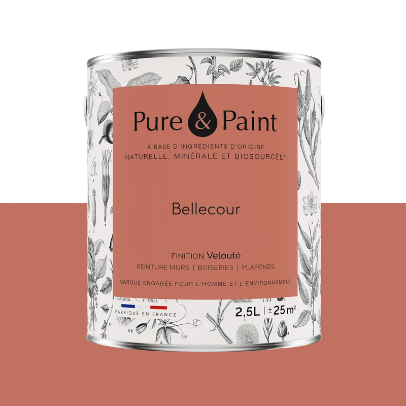 PURE AND PAINT