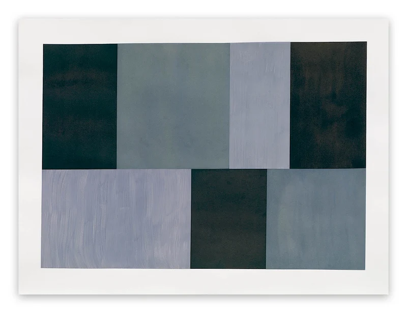 Test Pattern 12 (Grey study)