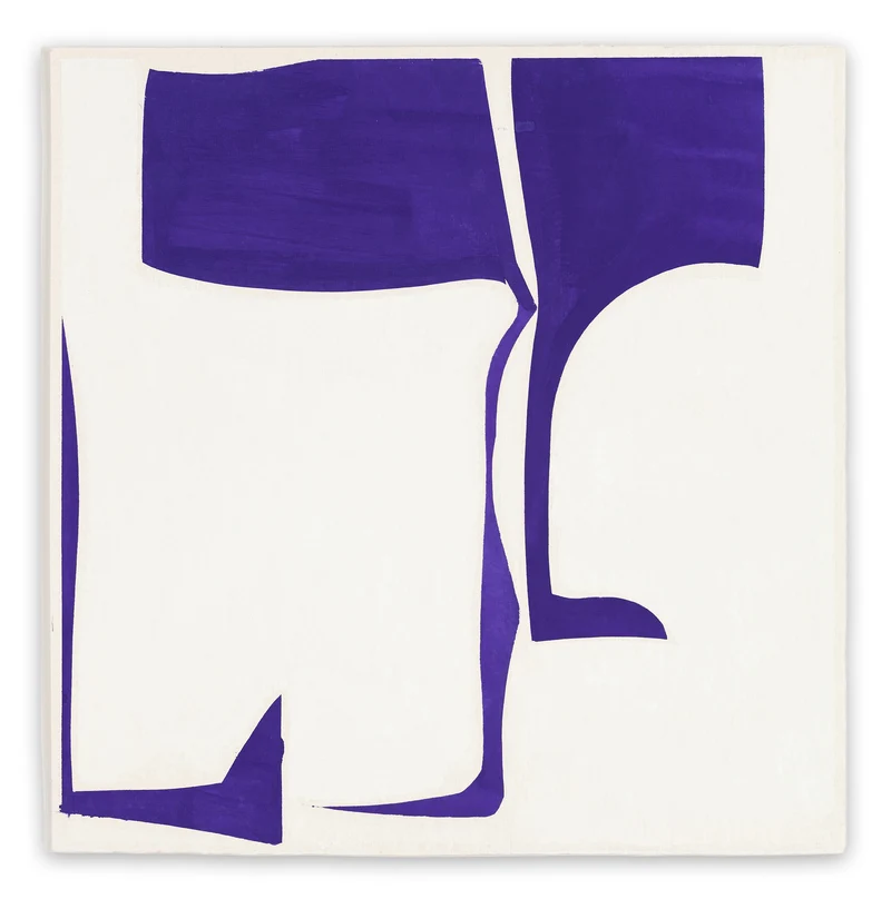 Covers 13 - Purple A
