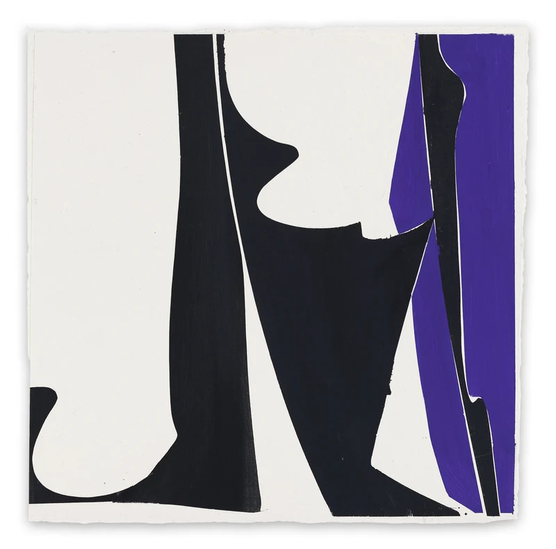 Covers 13 - Blue Black