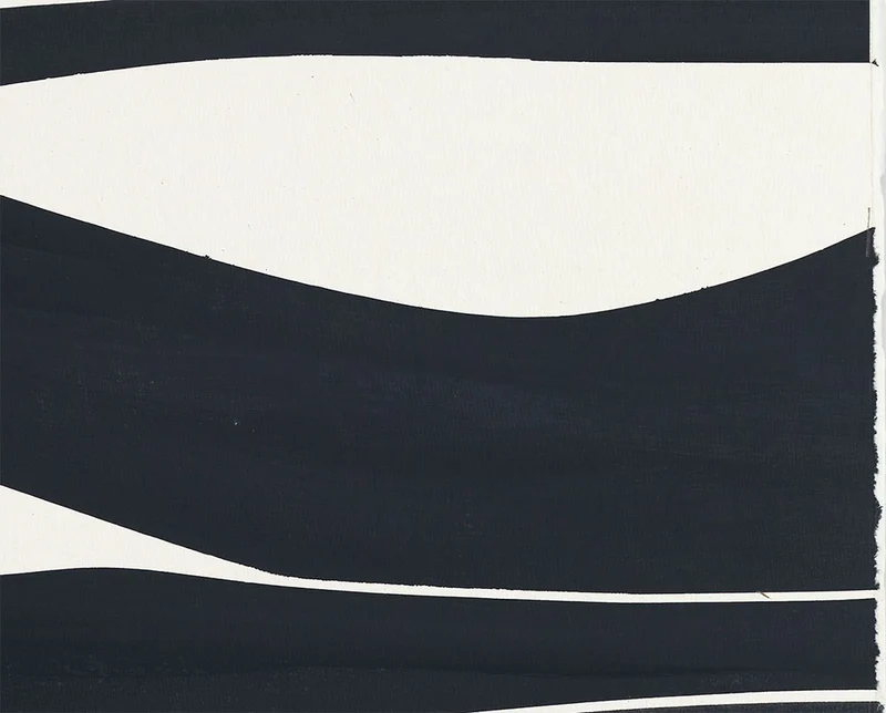 Covers 13 -Black