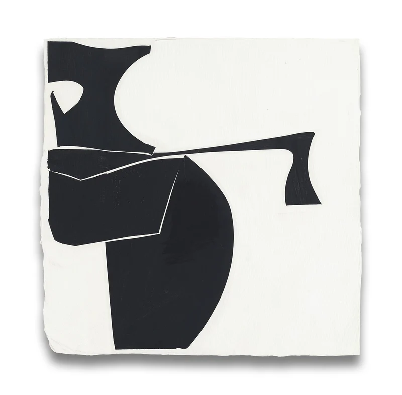 Covers 13-Black B