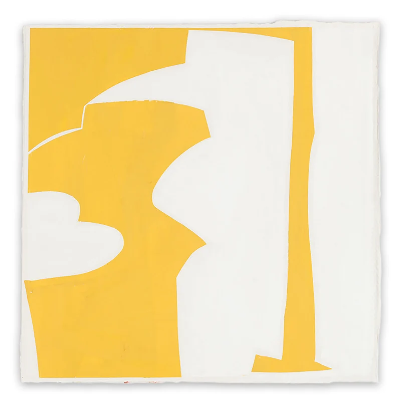 Covers 13 Yellow D