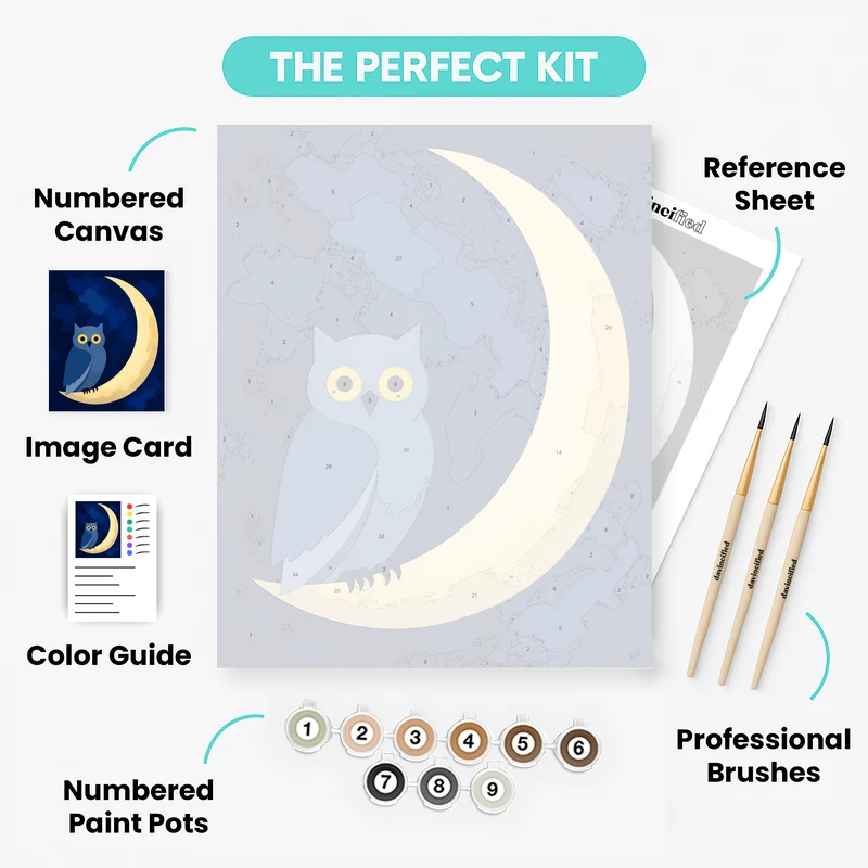 Owl on Crescent Moon - Paint by Numbers Kit