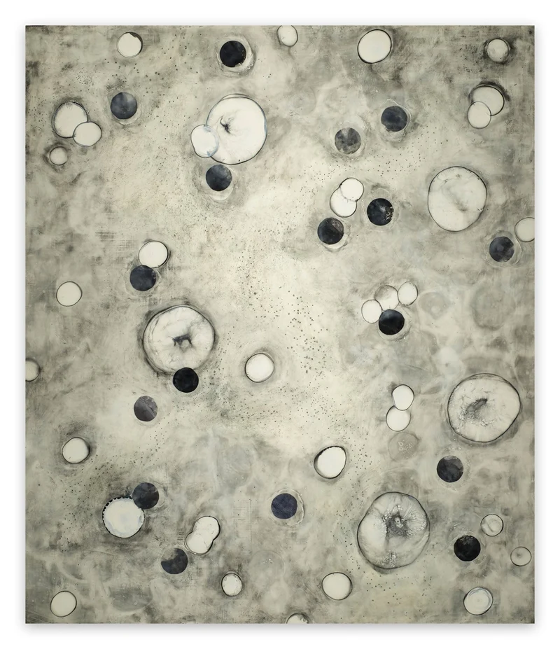 (r) evolution 28