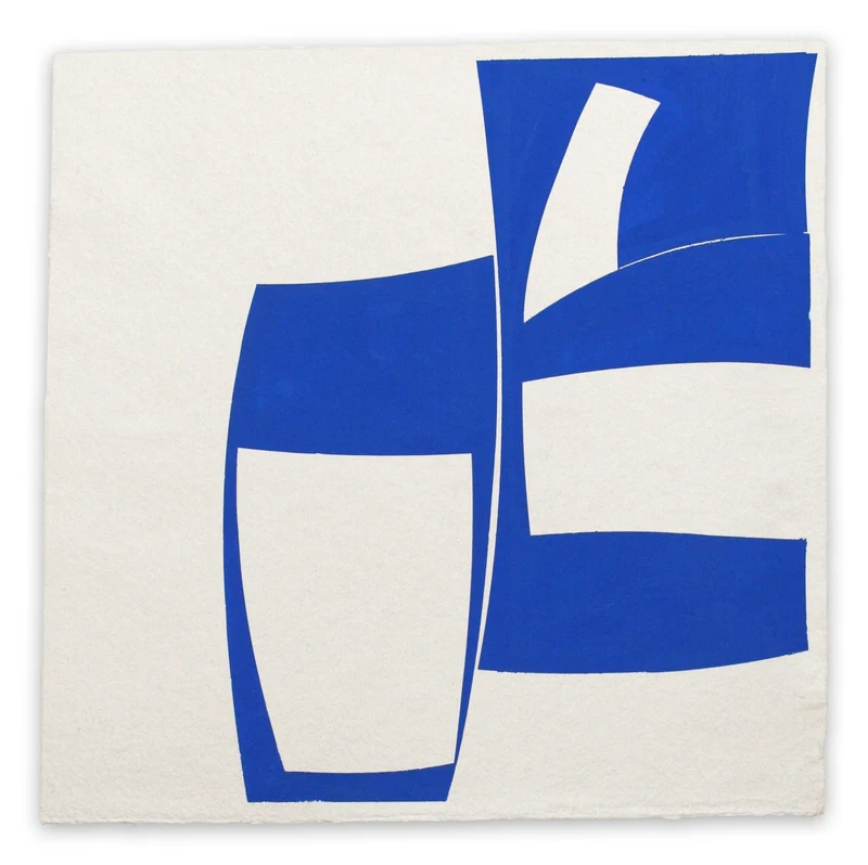 Covers 24 Blue