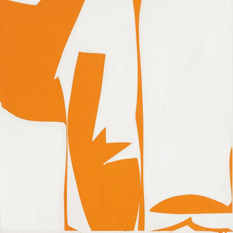 Covers 13-Orange