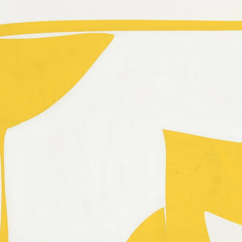Covers 13-Yellow B