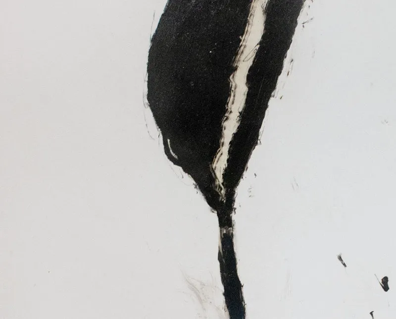 Stem in Black #1