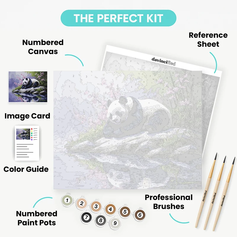 Panda Resting by Cherry Blossoms - Paint by Numbers Kit