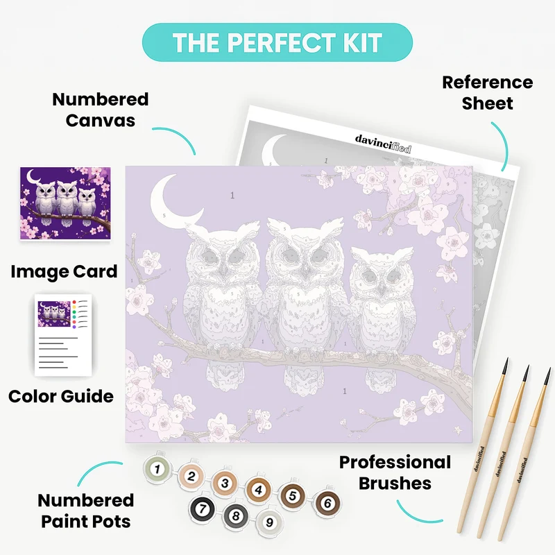 Three White Owls on Cherry Blossom Branch - Paint by Numbers Kit