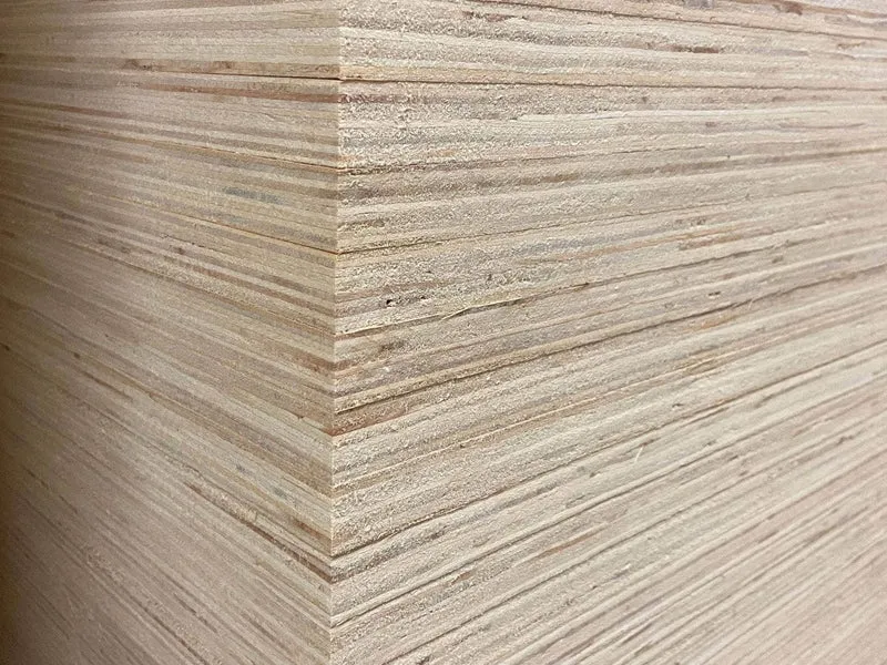 Contreplaqué 100% peuplier - 2440 x 1220 x 10 mm (direct usine)