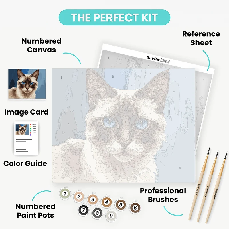 Siamese Cat Portrait with Striking Blue Eyes - Paint by Numbers Kit