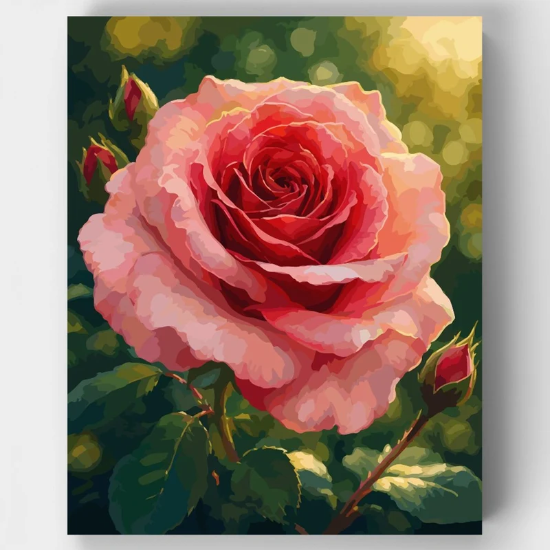 Blooming Pink Rose - Paint by Numbers Kit