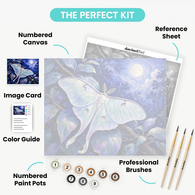 Luna Moth Moonlight - Paint by Numbers Kit