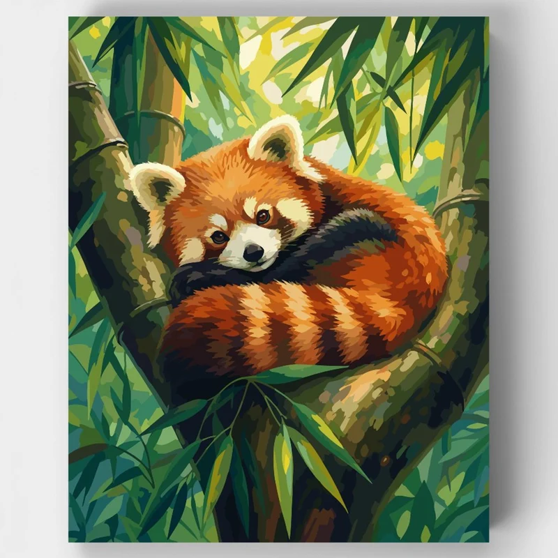 Curled Red Panda - Paint by Numbers Kit