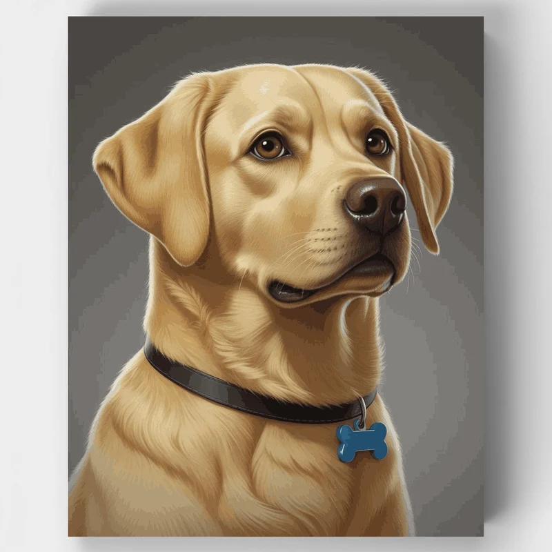 Golden Labrador with Blue Tag - Paint by Numbers Kit