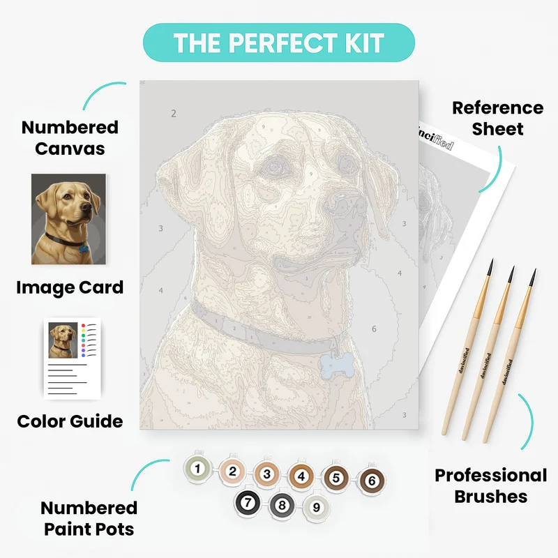 Golden Labrador with Blue Tag - Paint by Numbers Kit