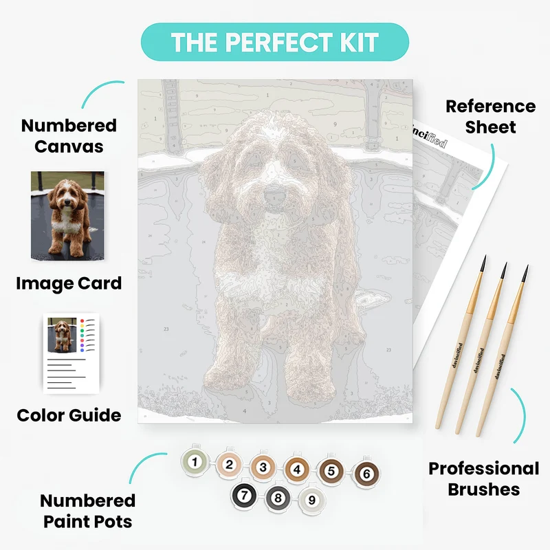 Cavapoo on Trampoline - Paint by Numbers Kit