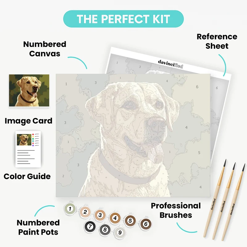 Yellow Labrador Retriever Portrait - Paint by Numbers Kit