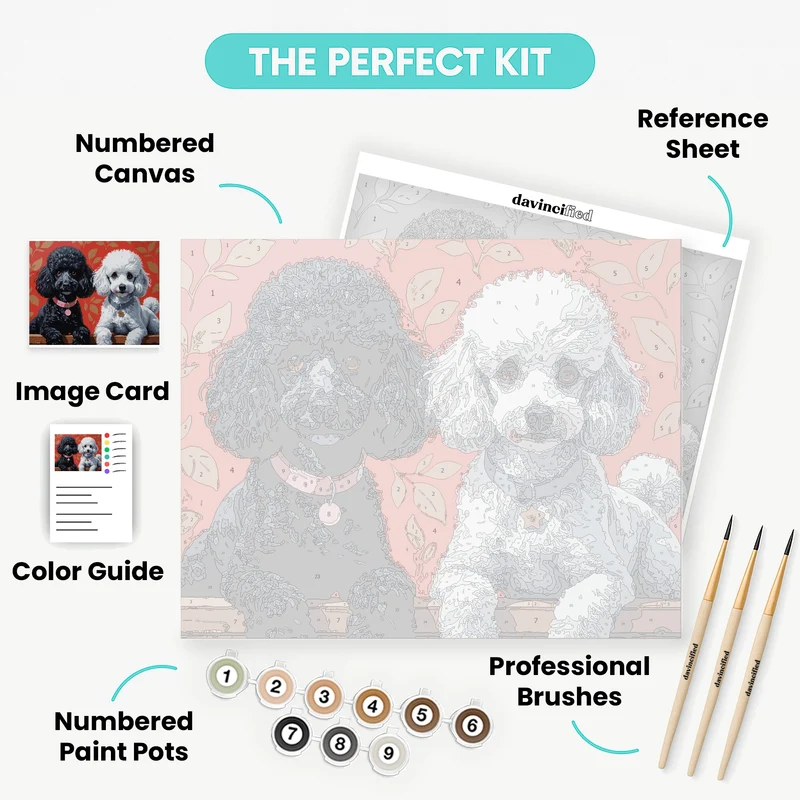 Black and White Poodles Portrait - Paint by Numbers Kit